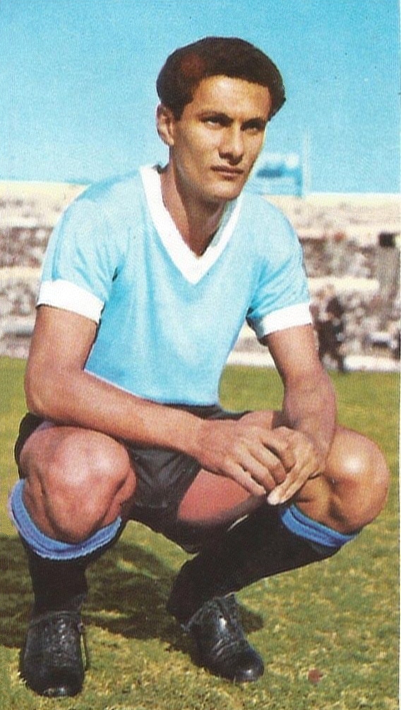 	Pedro Rocha 	